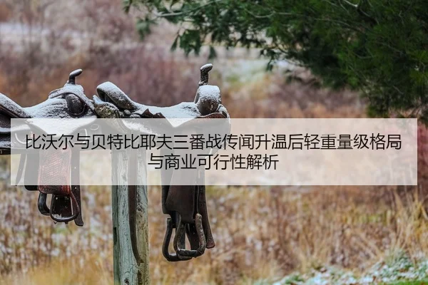 比沃尔与贝特比耶夫三番战传闻升温后轻重量级格局与商业可行性解析