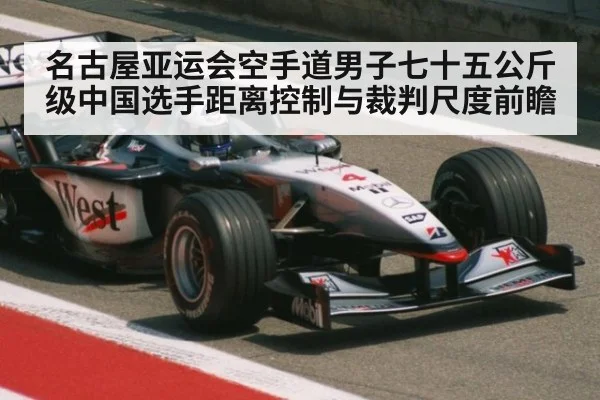 名古屋亚运会空手道男子七十五公斤级中国选手距离控制与裁判尺度前瞻