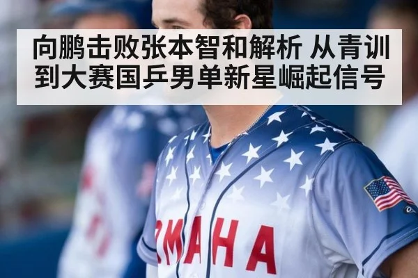 向鹏击败张本智和解析 从青训到大赛国乒男单新星崛起信号