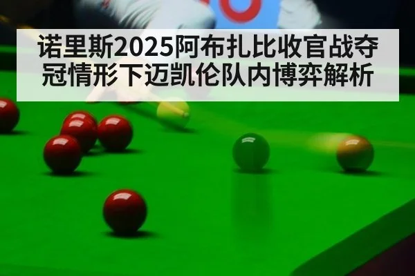诺里斯2025阿布扎比收官战夺冠情形下迈凯伦队内博弈解析